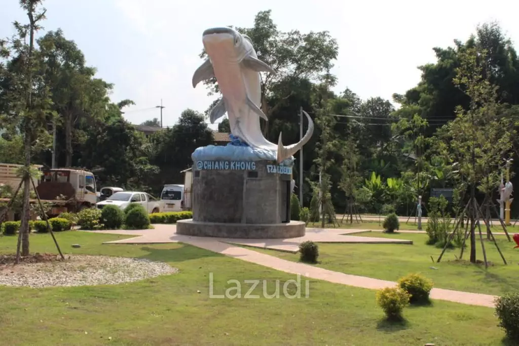 Plot of Land Near the Port for Sale