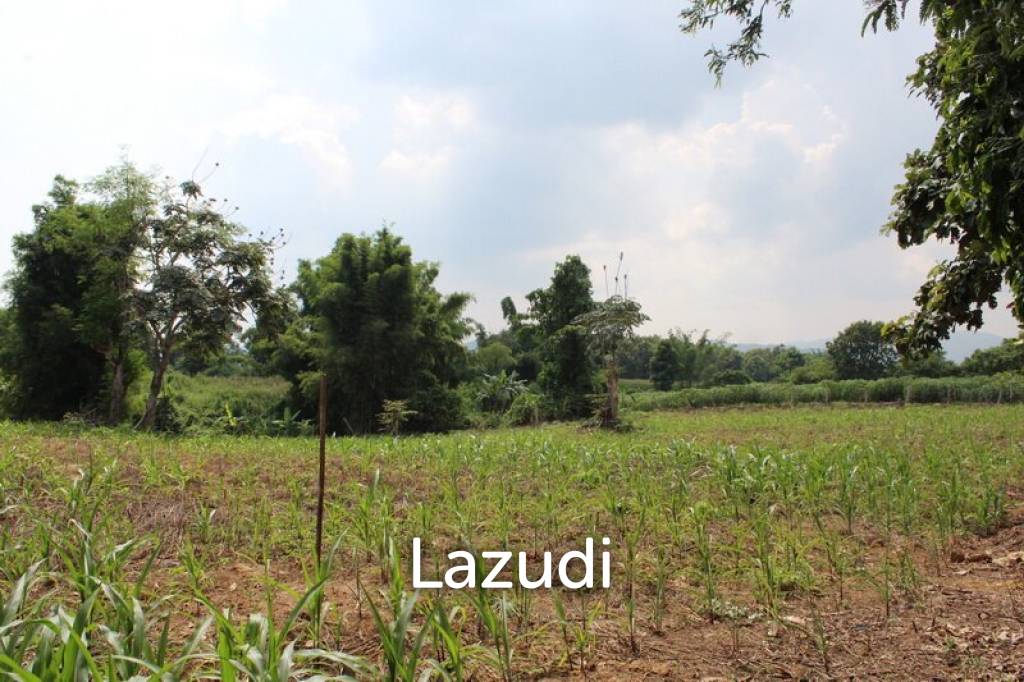 2 Rai of Land for Sale