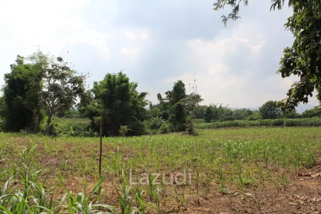 2 Rai of Land for Sale