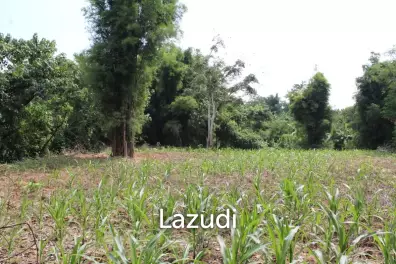 2 Rai of Land for Sale