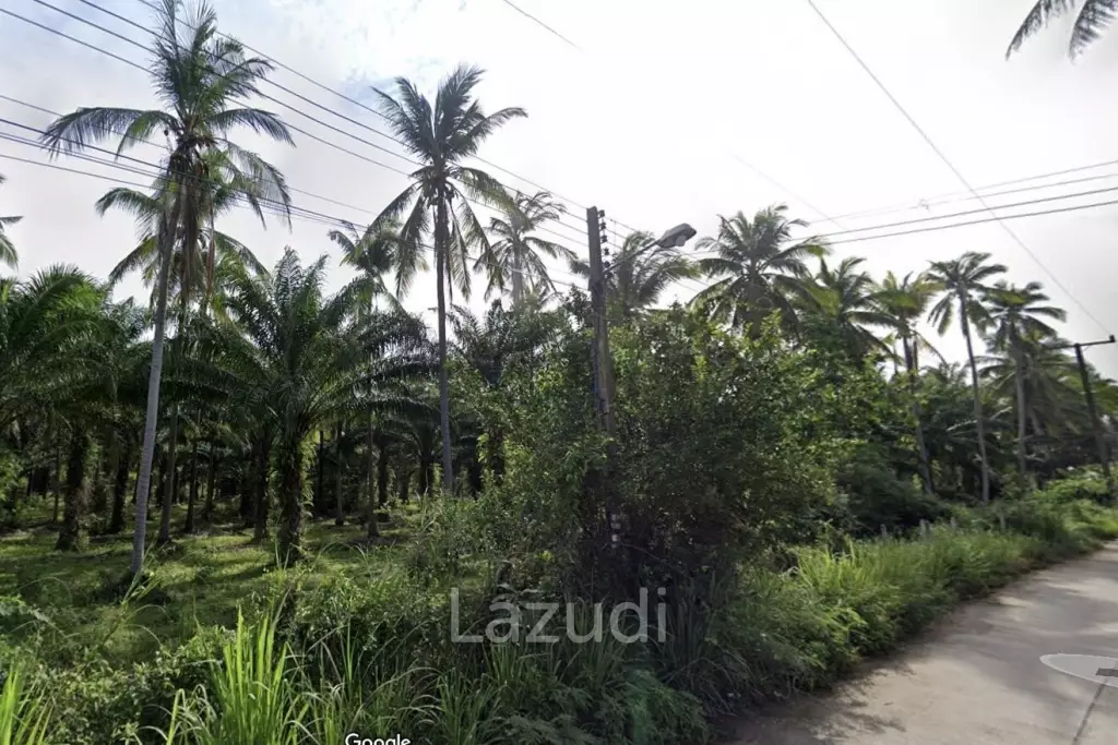 15-3-96 Rai Land Plot For Sale In Bang Sapan
