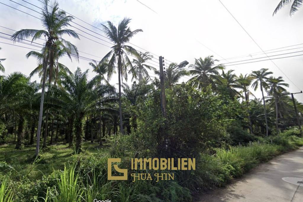 15-3-96 Rai Land Plot For Sale In Bang Sapan