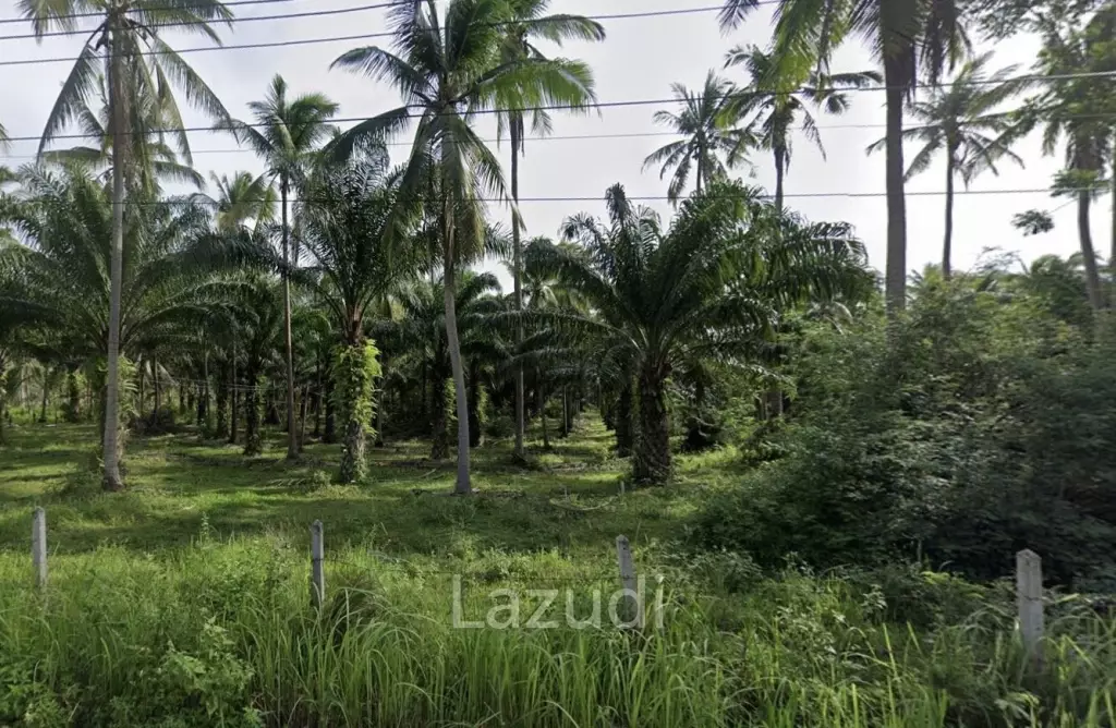 15-3-96 Rai Land Plot For Sale In Bang Sapan