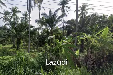 15-3-96 Rai Land Plot For Sale In Bang Sapan