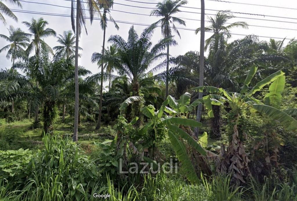 15-3-96 Rai Land Plot For Sale In Bang Sapan