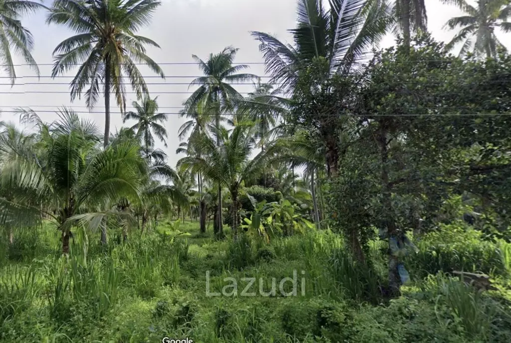 15-3-96 Rai Land Plot For Sale In Bang Sapan