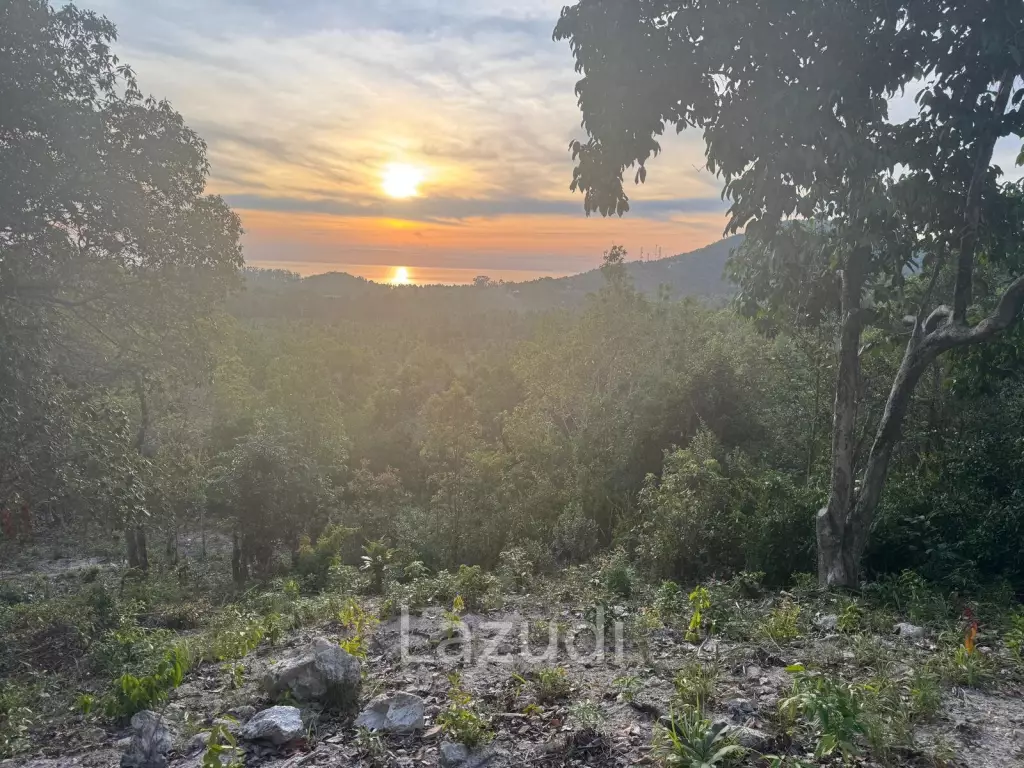 Prime Sea View Land in Srithanu Hills, Koh Phangan