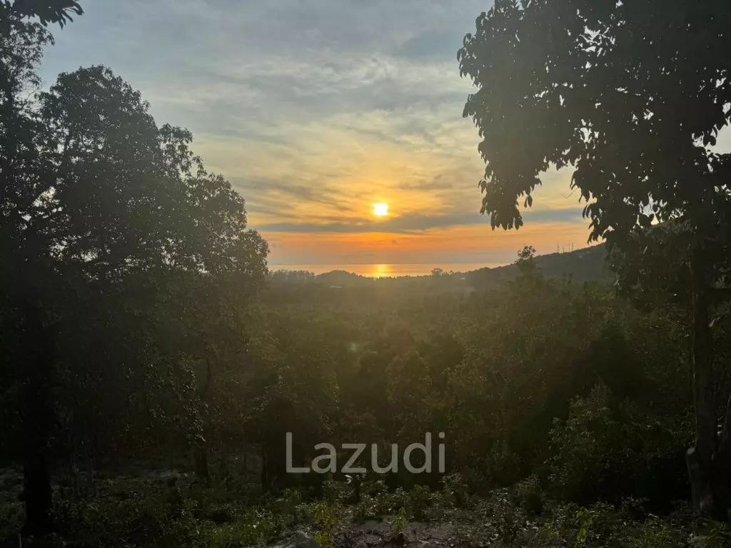 Prime Sea View Land in Srithanu Hills, Koh Phangan