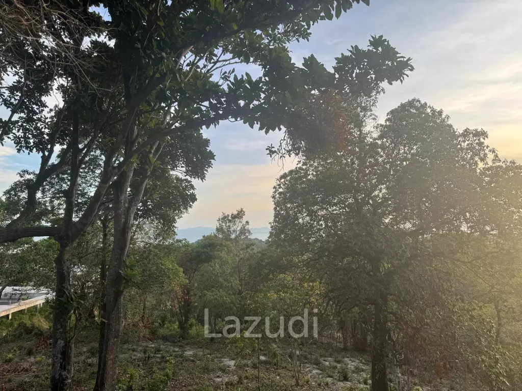 Prime Sea View Land in Srithanu Hills, Koh Phangan