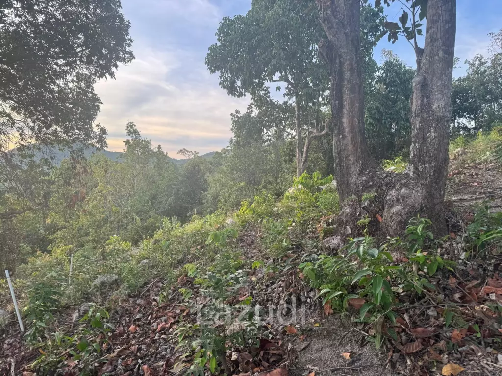 Prime Sea View Land in Srithanu Hills, Koh Phangan