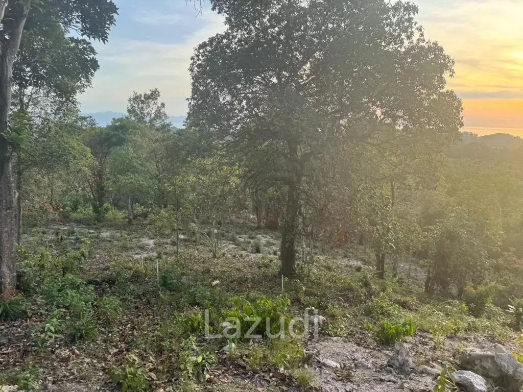 Prime Sea View Land in Srithanu Hills, Koh Phangan