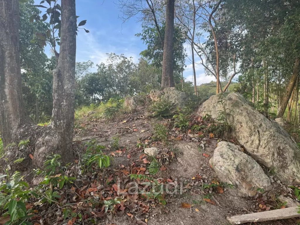 Prime Sea View Land in Srithanu Hills, Koh Phangan