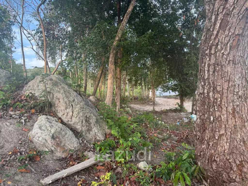 Prime Sea View Land in Srithanu Hills, Koh Phangan