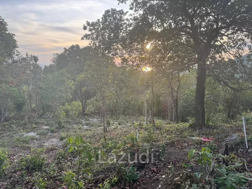 Prime Sea View Land in Srithanu Hills, Koh Phangan