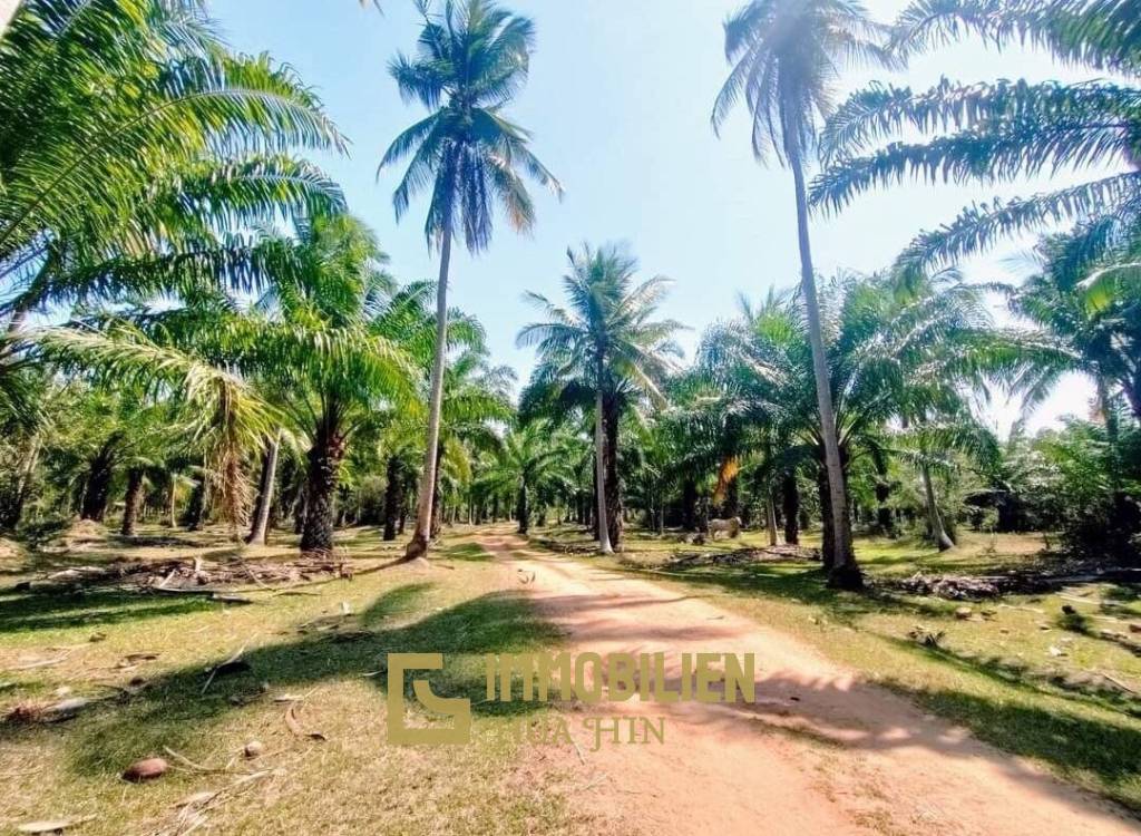 15-3-96 Rai Land Plot For Sale In Bang Sapan