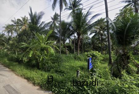 15-3-96 Rai Land Plot For Sale In Bang Sapan