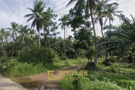 15-3-96 Rai Land Plot For Sale In Bang Sapan