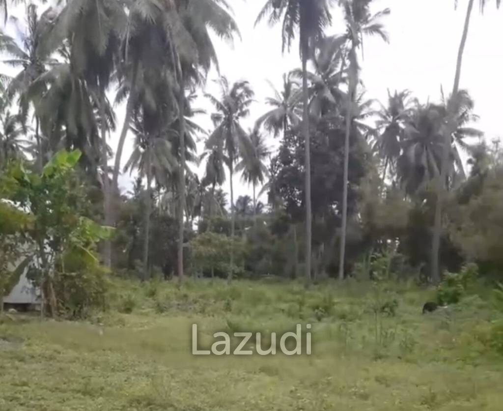 Prime 332 Sqm Land Plot in Bang Saphan - 200m From The Beach