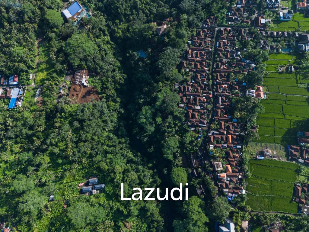 Pristine Freehold land in Ubud