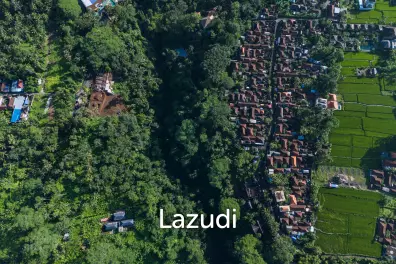 Pristine Freehold land in Ubud