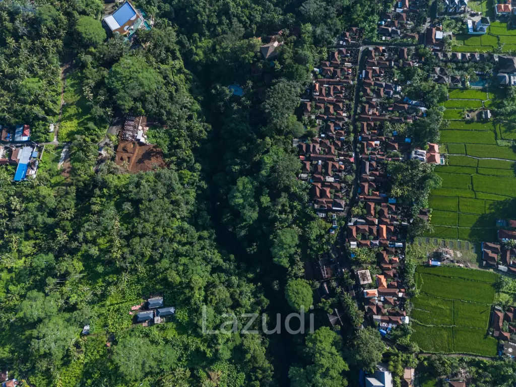 Pristine Freehold land in Ubud