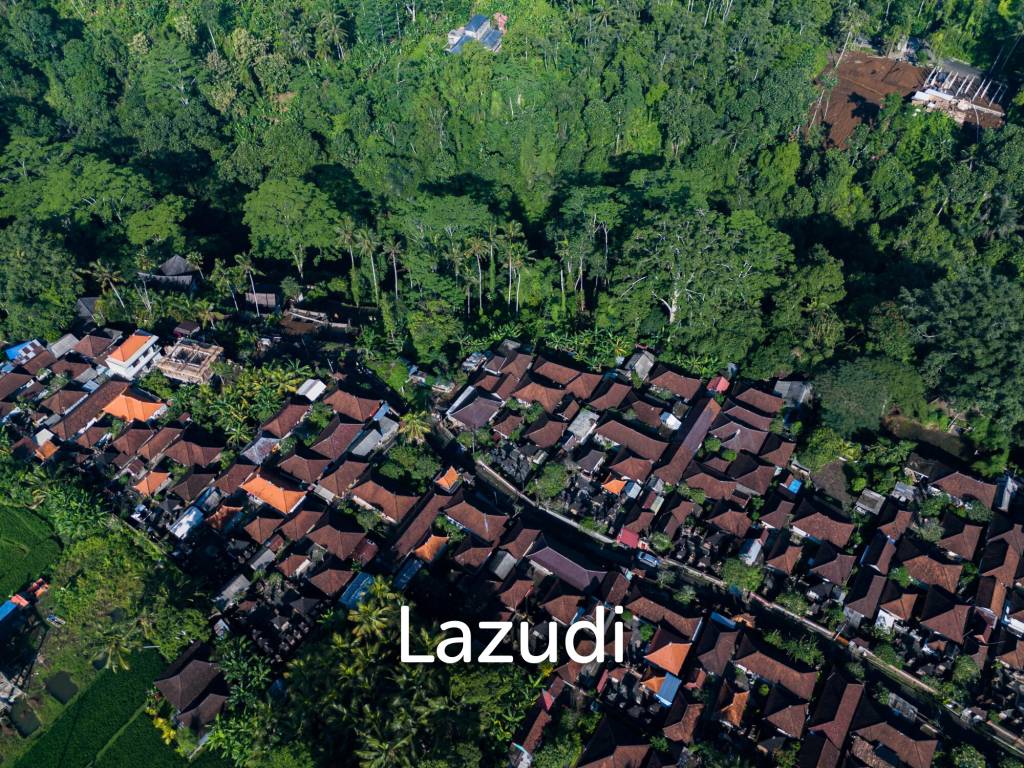 Pristine Freehold land in Ubud