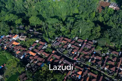 Pristine Freehold land in Ubud