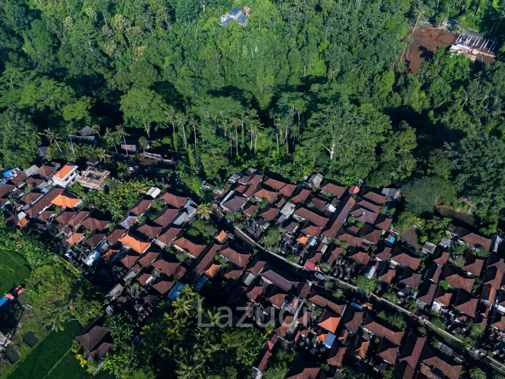 Pristine Freehold land in Ubud
