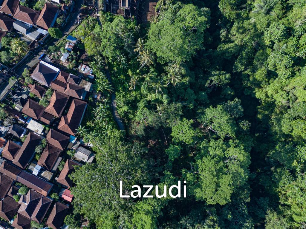 Pristine Freehold land in Ubud