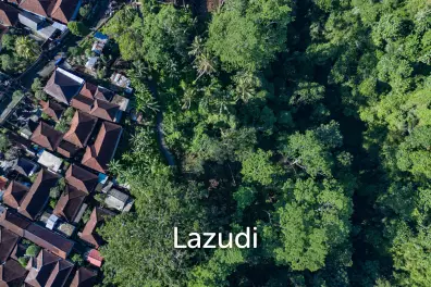 Pristine Freehold land in Ubud