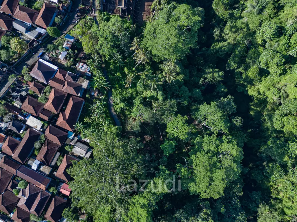 Pristine Freehold land in Ubud