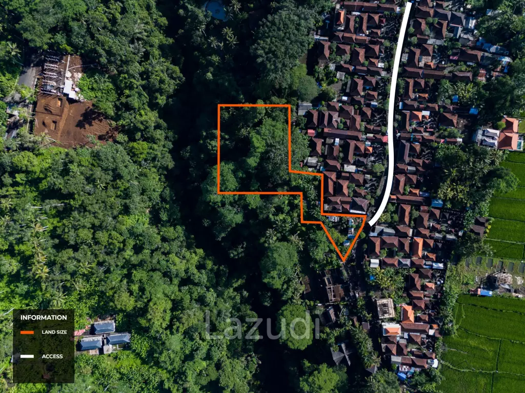 Pristine Freehold land in Ubud
