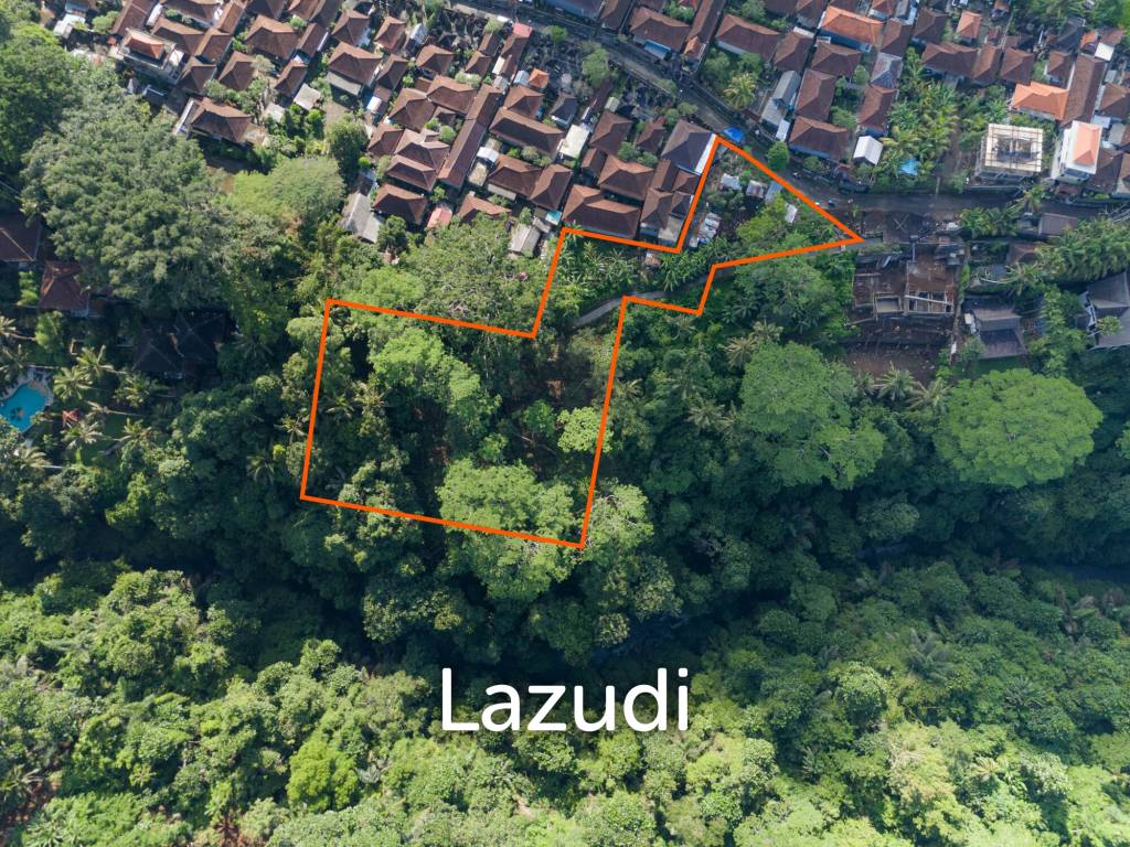 Pristine Freehold land in Ubud
