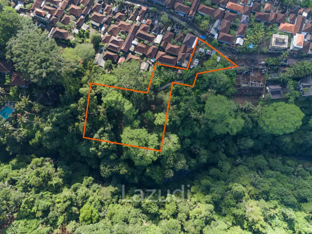 Pristine Freehold land in Ubud