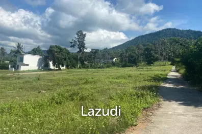 Developers Paradise