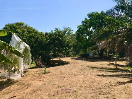 3.75 Rai Land with Spacious 3-Story Villa and Additional 3-Story House, Walking Distance to Yanui Beach