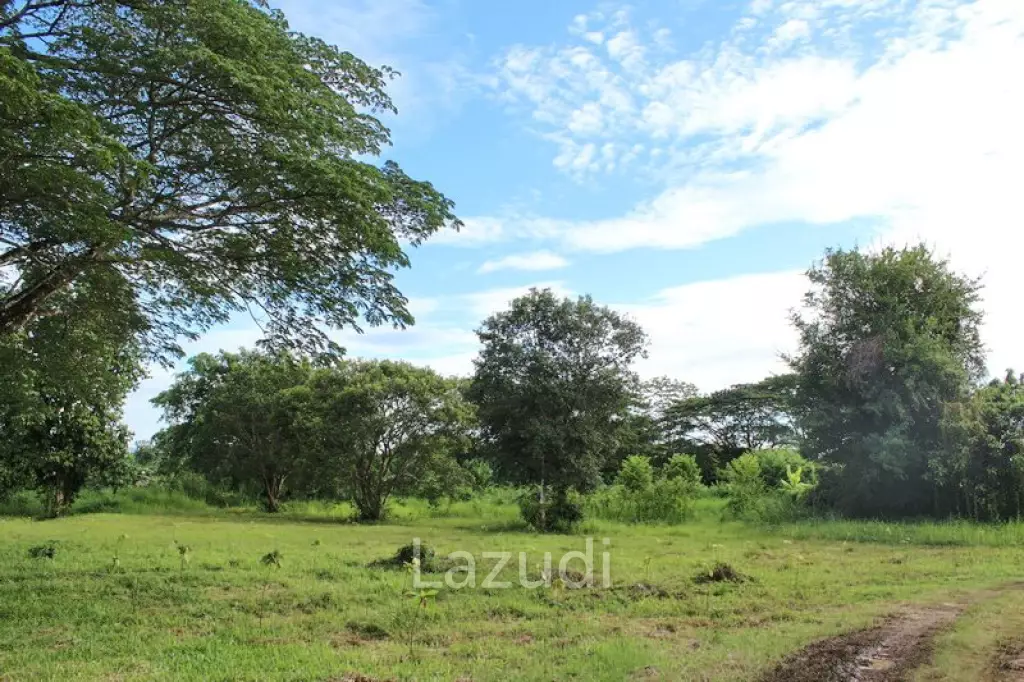 6 Rai with Kok River view for Sale