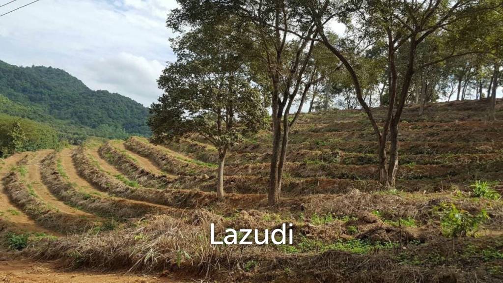 Ultra Luxury Freehold Land in Don Sila Chiang Rai