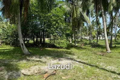LEASEHOLD Prime Flat Land Plots Near Hin Kong Beach, Koh Phangan