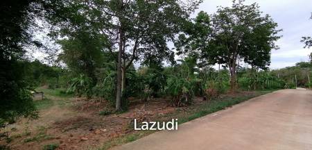 4 Rai plot of land in Nong Ya Plong