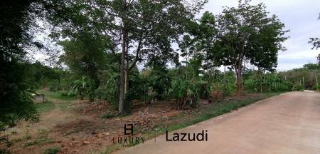 4 Rai plot of land in Nong Ya Plong