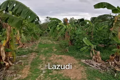 4 Rai plot of land in Nong Ya Plong