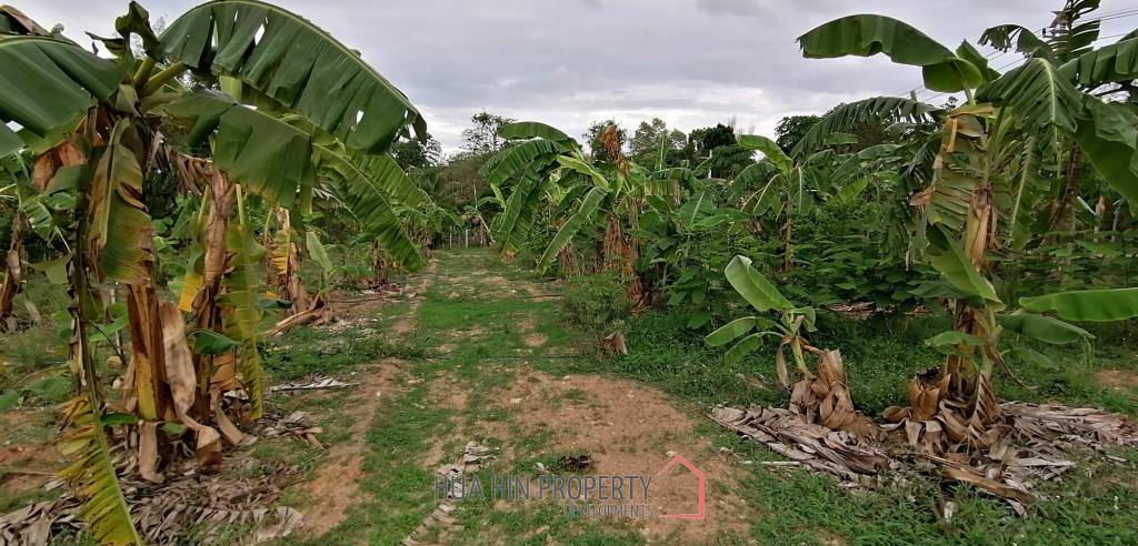 4 Rai plot of land in Nong Ya Plong