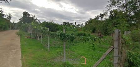 4 Rai plot of land in Nong Ya Plong