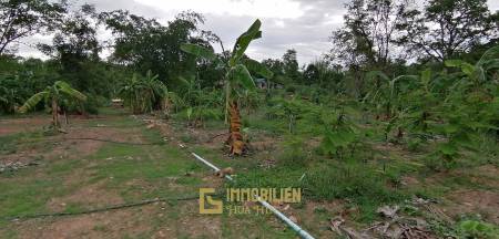 4 Rai plot of land in Nong Ya Plong