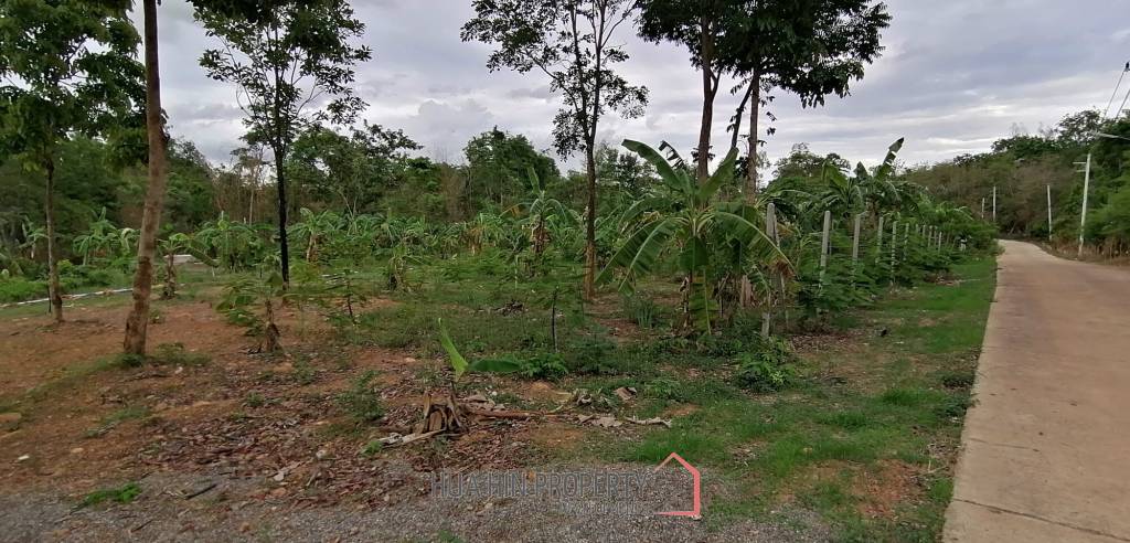 4 Rai plot of land in Nong Ya Plong