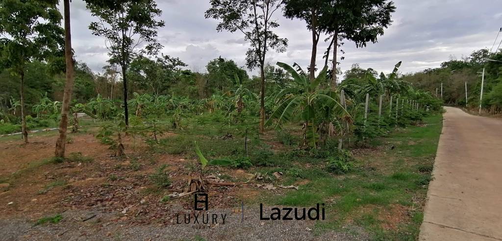 4 Rai plot of land in Nong Ya Plong