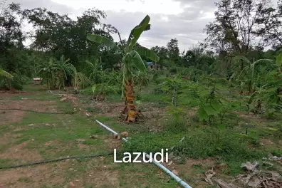 4 Rai plot of land in Nong Ya Plong