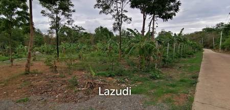 4 Rai plot of land in Nong Ya Plong