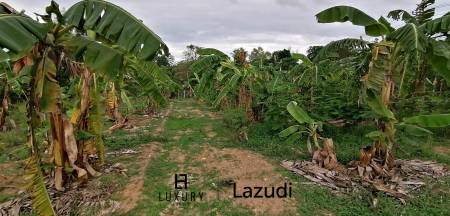 4 Rai plot of land in Nong Ya Plong